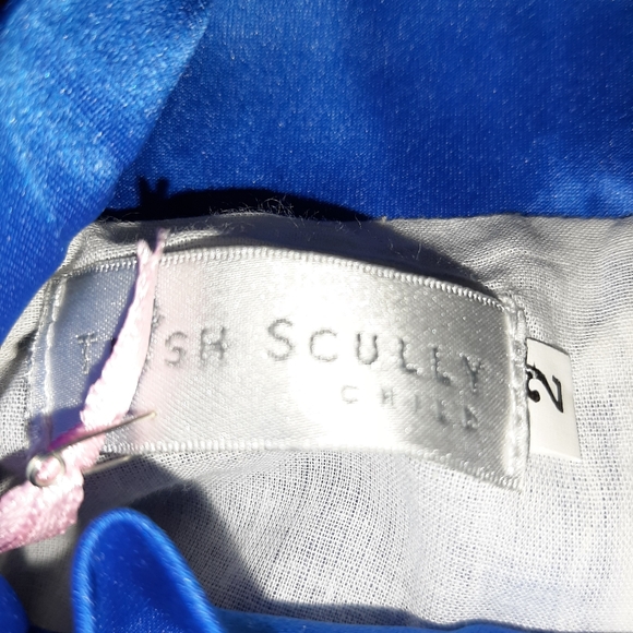 🆕️ Trish Scully Child Boutique Stunning Dress 2T - Picture 6 of 6